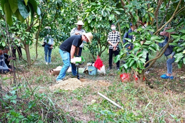 广西第三次全国土壤普查表层土壤调查与采样技术培训班（第2期）顺利举办